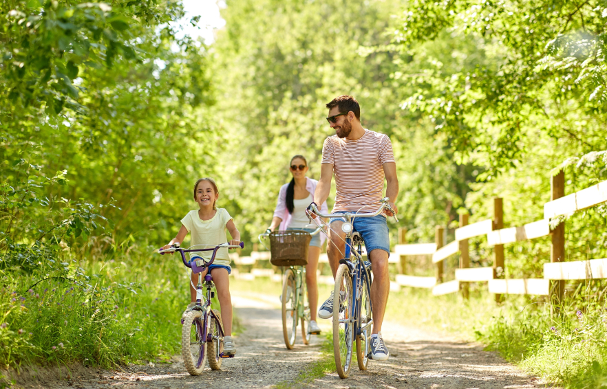 Carousel Desktop Carousel TTD Families