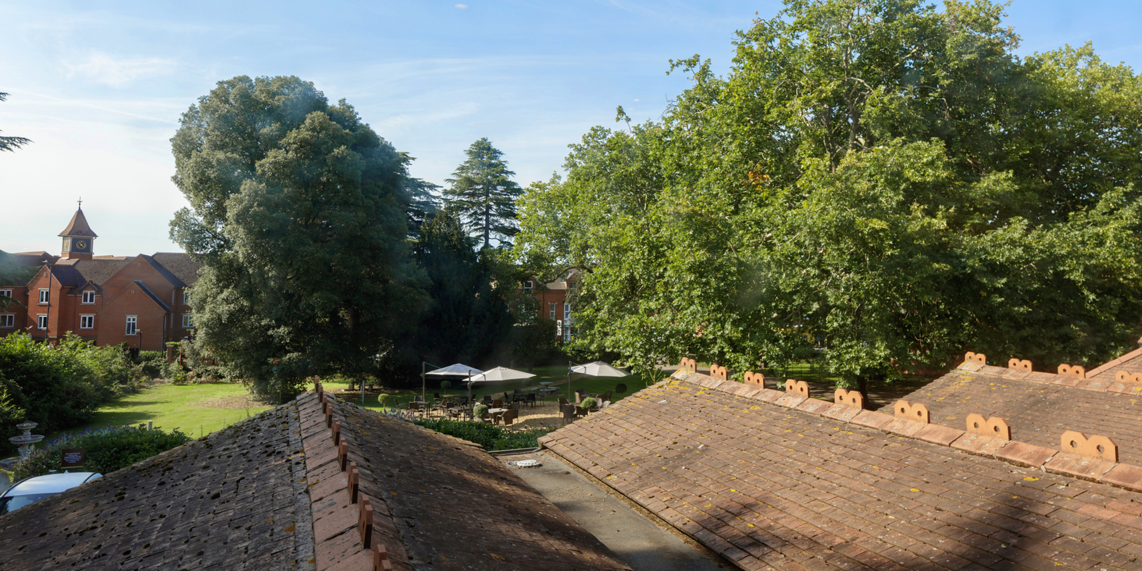 Tripadvisortestimonial Desktop