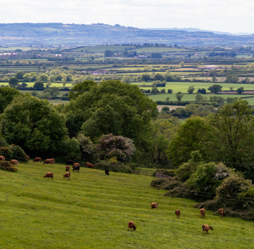 Keyinformation Desktop 01 Welcome Park Circut