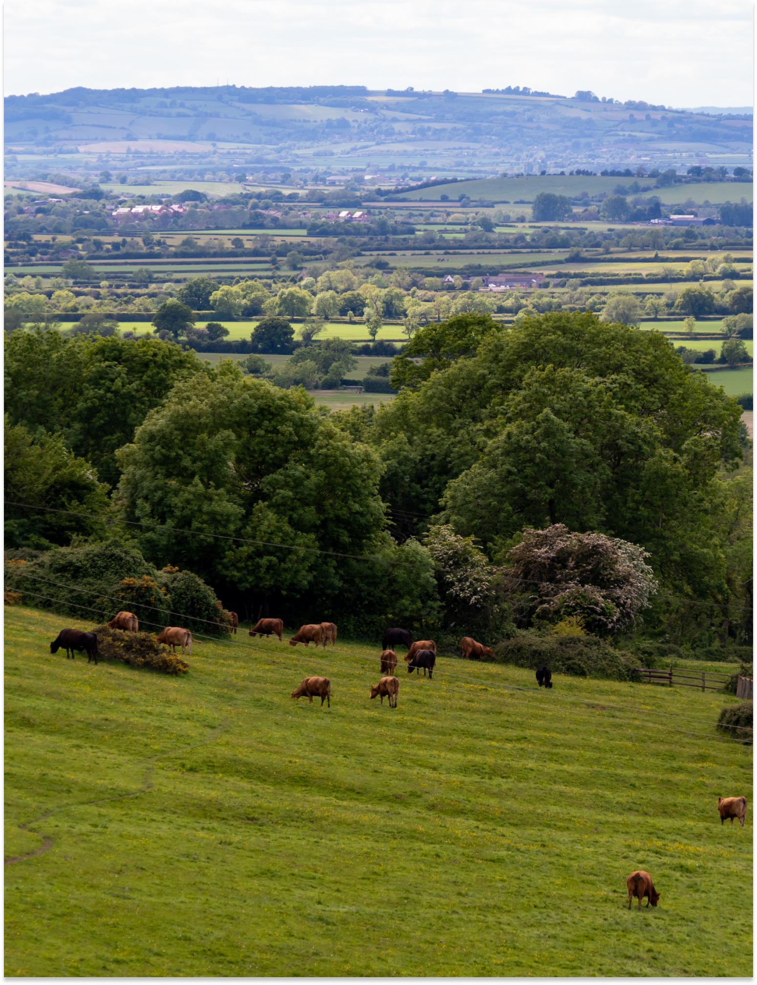 Inner Desktop Banner 2