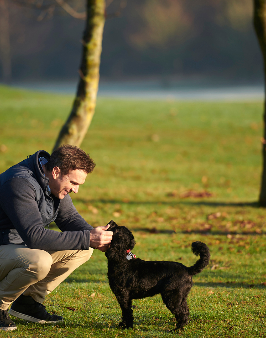 Crosssell Desktop Walks